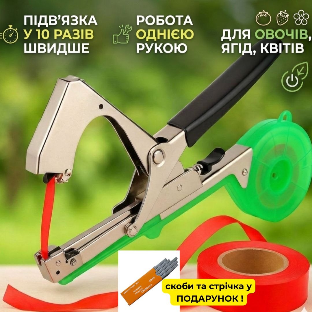 Саджанці полуниці Брілла